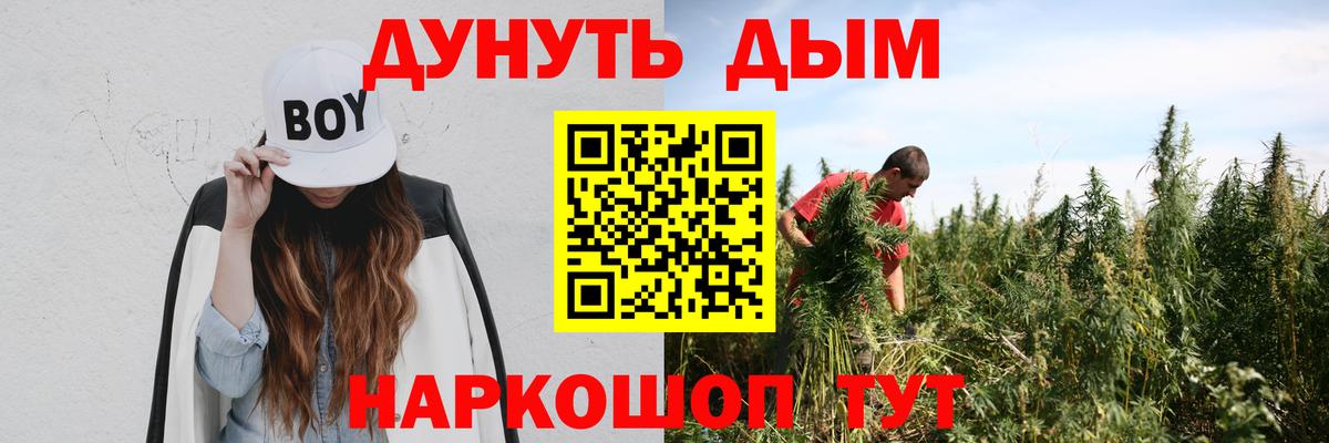 Каннабис планчик Тайшет